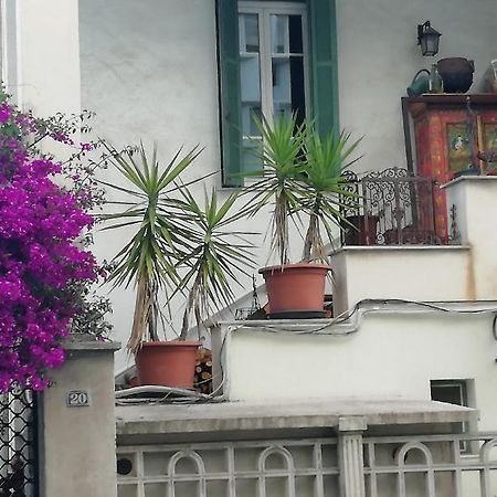 Villa Cecile Ajaccio  Eksteriør billede