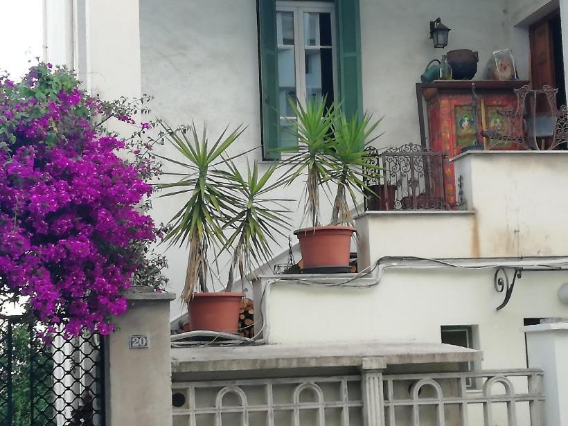 Villa Cecile Ajaccio  Eksteriør billede